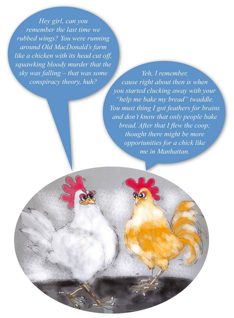 Chicken Musings