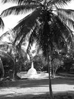 Chetiya